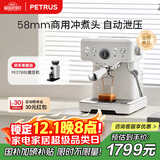 柏翠(petrus)【政府补贴】咖啡机意式浓缩家用小型半自动蒸汽打奶泡PE3833 海盐小方