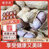 食京欢龙岩水煮花生晒干咸干2斤坚果炒货零食解馋湿烤水煮花生米下酒菜