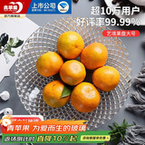 青苹果晶白玻璃水果盘零食盘家用果盘干果盘坚果盘透明大号艺境果盘