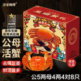 【活蟹】漁家师傅大闸蟹公5-5.3两母4-4.3两4对8只 去绳足重鲜活螃蟹现货生鲜礼盒