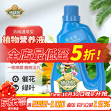 德沃多肥料 植物营养液通用600ml水培绿植花卉盆栽花肥料发财树绿萝液体肥