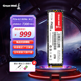 长城（Great Wall）2TB SSD固态硬盘 M.2接口(NVMe协议) PCIe4.0x4 读速高达7300MB/s GW7000系列