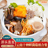 京地达云南特产新鲜菌类净重1斤10种鲜菌组合装多种菌菇源头直发包邮