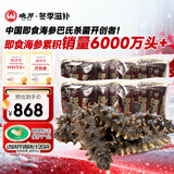 晓芹 大连冷冻即食海参500g 7-9只*2袋 辽刺参 海鲜水产 