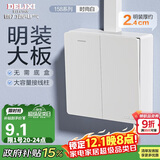 德力西(DELIXI)明装开关插座面板 CD158系列 二开单控开关
