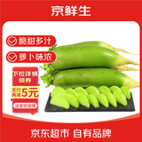 京鲜生家美舒达 山东 潍坊萝卜 甜脆水果萝卜 绿青萝卜 5斤 新鲜蔬菜