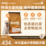 NOW FRESH【进口狗粮】中大型犬柴犬边牧金毛德牧专用增肌健美膨化成犬粮 中大型成犬粮12磅（新鲜效期）