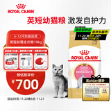皇家猫粮 英短幼猫粮 BSK38 4-12月 10KG