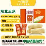 十月稻田 白甜糯玉米 8根 4.16斤 东北鲜黏玉米棒 低脂早餐苞米 杂粮礼盒 