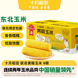 十月稻田 黄糯玉米 3.52斤(220g*8根) 25年新玉米 低脂粗粮 早餐 联名款