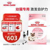 皇家幼猫奶糕 幼猫猫粮 BK34 通用粮 1-4月 10KG