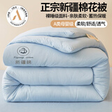 红豆A类正宗新疆棉花被子纯棉花被芯无异味加厚单人双人家用宿舍冬被 天蓝【真A类-正宗新疆棉花被】 180x220cm约8斤【冬被】