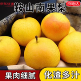 京地达鞍山南果梨 东北特产南国梨 净重5斤40枚左右 源头直发包邮
