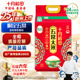 十月稻田 2025年新米 绿色食品 五常大米 10斤（香米 东北大米 5公斤）