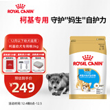 皇家柯基狗粮 幼犬粮  中型犬 12月以下 全价粮CGJ29 3KG【骨骼呵护】