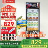 白雪雅竹大容量饮料柜商用冰柜直冷藏展示柜酒水柜纯风冷无霜保鲜柜超市玻璃门冰箱立式啤酒柜 单门下机【风冷循环】600*540*1950mm