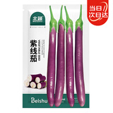 北蔬 线茄茄子种子种苗长茄杭茄早熟四季蔬菜种籽 北蔬紫线茄种子50粒