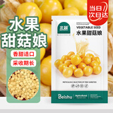 北蔬 菇娘果种子种苗灯笼果黄姑娘盆栽水果种籽 水果甜菇娘种子200粒