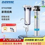 爱惠浦（Everpure）家用净水器EF-900P 五级过滤净水器.保留矿物质不用电净化水净水器 组装900P套装