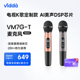 Vidda  海信  麦克风 VM7G-T 海信电视 Vidda电视定制 天籁K歌 无线麦克风 家庭KTV 双支套装