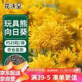 花沃里 玩具熊向日葵/重瓣花卉种子家庭盆栽向日葵阳台办公室庭院约25粒
