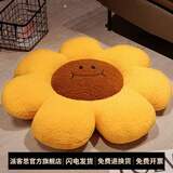 派客思太阳花抱枕沙发客厅花朵飘窗靠垫花瓣靠背现代轻奢床头靠枕ins风 黄花棕芯 中号60X60CM