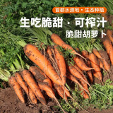 密农人家新鲜带泥胡萝卜 水果胡萝卜 生吃萝卜脆甜多汁 农家胡萝卜3斤