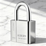 奥本挂锁 门锁学生宿舍柜子锁电力电表箱锁防锈锁AB30升级款