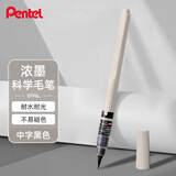 派通（Pentel ）便携科学毛笔速干软毛书法绘画可换墨 XFP6L国风练字绘画毛笔