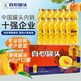 真心黄桃罐头248g*12罐 水果罐头糖水饮料水果捞 节日礼物 礼盒