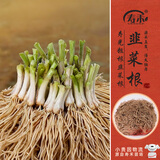 寿禾 韭菜根苗农家种蔬菜苗 四季韭菜根190棵带肥+青菜籽源头直发包邮