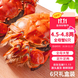 【活蟹】乾澄大闸蟹现货 全母蟹4.5-4.8两 6只 特大鲜活螃蟹河蟹海鲜礼盒装源头直发