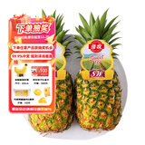 佳农 菲律宾进口菠萝 2个装 凤梨 单果净重2斤 生鲜水果源头直发 包邮