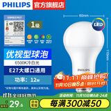 飞利浦（PHILIPS）LED灯泡节能灯超大球泡光源E27大螺口灯饰电灯泡替换白炽灯超亮 1级能效-优视型12W6500K E27螺口