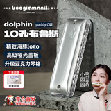 BoogieMAN【园园同款】海豚PADDY调口琴十孔布鲁斯成人专业初学者蓝调10孔