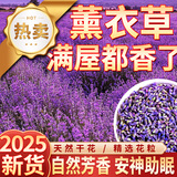 古养斋薰衣草250克 新疆薰衣草中药材天然无杂质干货 干花粒泡茶养生