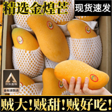 壹萌果蔬金煌芒芒果 当季现摘广西大芒果新鲜水果青芒果整箱送礼 5斤精品果【单果200g+】 净4.5斤