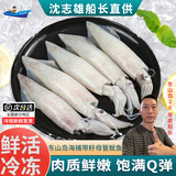 沈志雄东山岛澳角渔村海捕鱿鱼海兔子满籽带膏东山小管年货年夜饭送礼