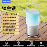 飞利浦（PHILIPS）TAS1700 蓝牙音响 音箱户外大音量 重低音炮 桌面家用 手提便携式 适用露营聚会骑行 银色