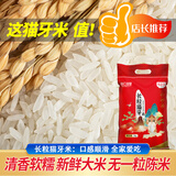 包公故里猫牙米10斤农家大米丝苗米新米南方籼米 长粒猫牙米5kg（编织袋装）