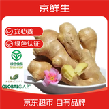 京鲜生 安心姜 山东生姜新鲜老姜大姜 水洗无泥风干净重4.5斤 源头直发