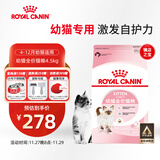 皇家幼猫猫粮 幼猫奶糕 K36 通用粮 4-12月 4.5KG