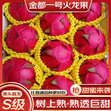 译优农海南红心火龙果金都一号新鲜水果大红肉蜜宝生鲜现货现摘整箱 净重5斤大果约5-7个【精选装】