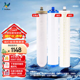 道尔顿（Doulton）【英国原装进口】D-IP301净水器专用滤芯套装 M12UCC（2504型）陶瓷+KDF活性炭+PF精梳棉