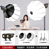 硕图直播补光灯摄影COB打光灯专业直播间专用灯光设备套装主播美颜灯拍照摄柔光灯全套影棚套装摄影灯