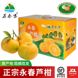 万春寨福建永春正宗芦柑精品大果10斤礼盒装原产地新鲜水果橘子丑桔柑桔 【优选大果】果径75mm带箱10斤装