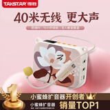 得胜（TAKSTAR）E30W 无线小蜜蜂扩音器教师专用导游喇叭腰挂便携式国风蓝牙小音响喊话器无线讲课麦克风 柔月白