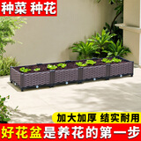 田田绿家庭阳台种菜盆长方形蔬菜种植箱楼顶种菜箱屋顶菜园大号花盆花箱 5联长200宽40高23