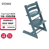 Stokke成长椅源自欧洲宝宝TT餐椅多功能儿童餐椅家用餐桌椅婴儿餐椅 峡湾蓝单椅