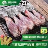 塞尔木图正宗内蒙羊小腿锡盟小羊腿原切羊腱子肉烤羊腿新鲜羊小腿整只 羔羊后腱子【纯瘦可炖可烤】 4斤